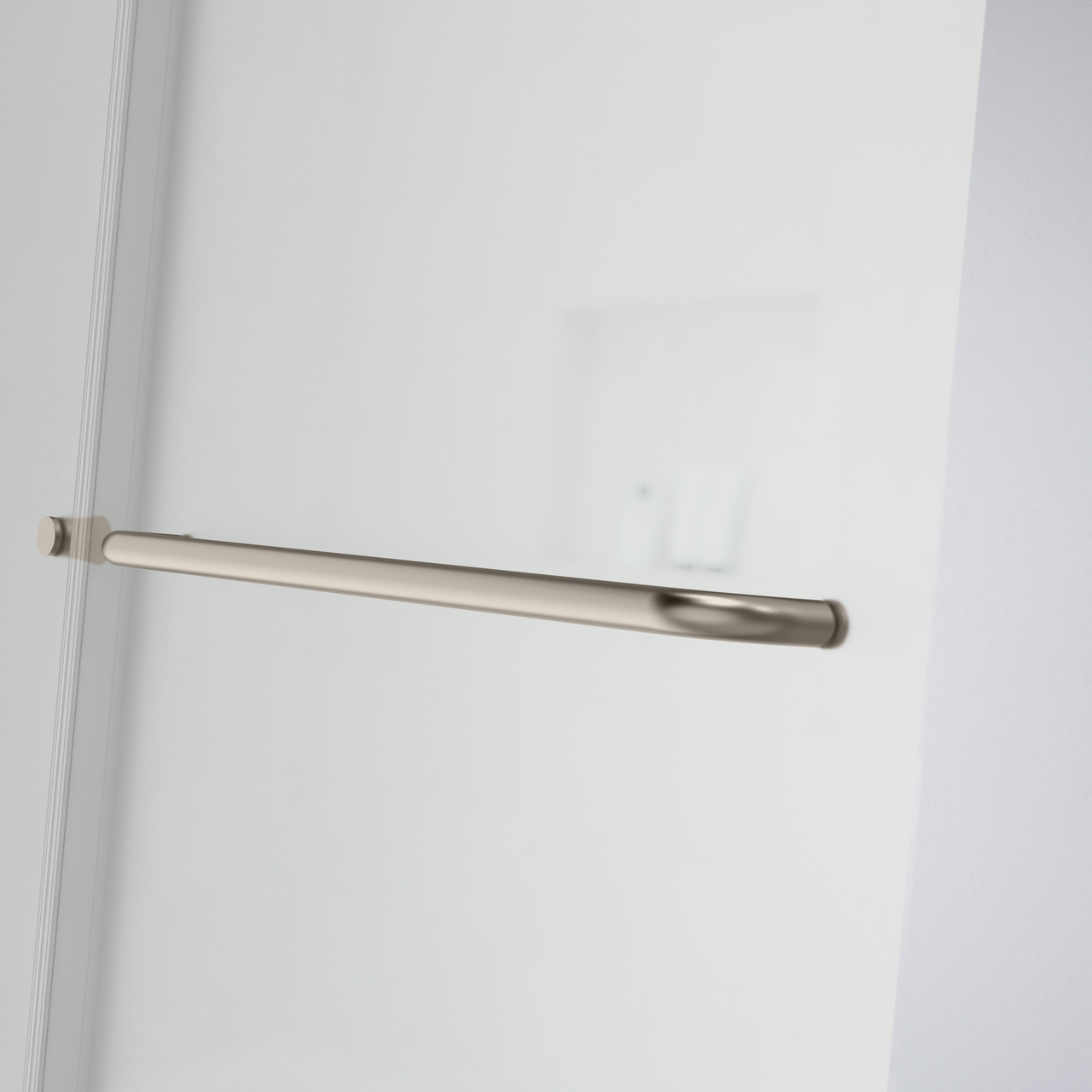 60" Shower / Privacy / Brushed Nickel (Shower Door)